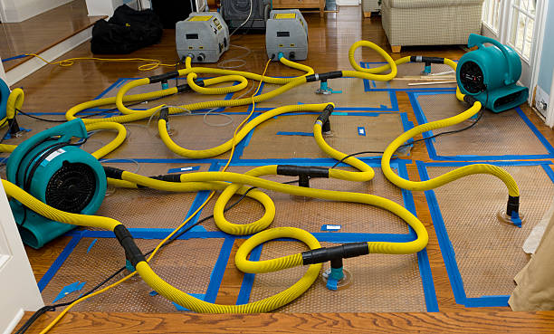 Professional Basement Flood Cleanup technician working in Willow Wood, OH